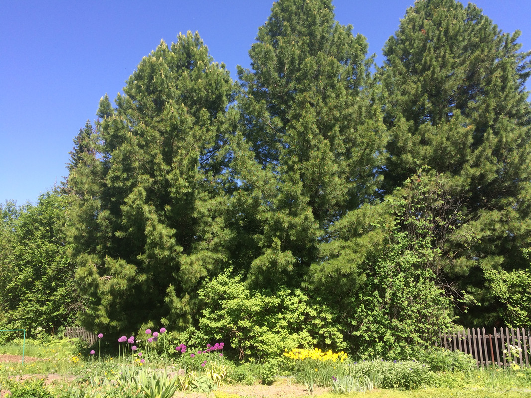 31011DBD-9555-4394-8517-803BE89E2232