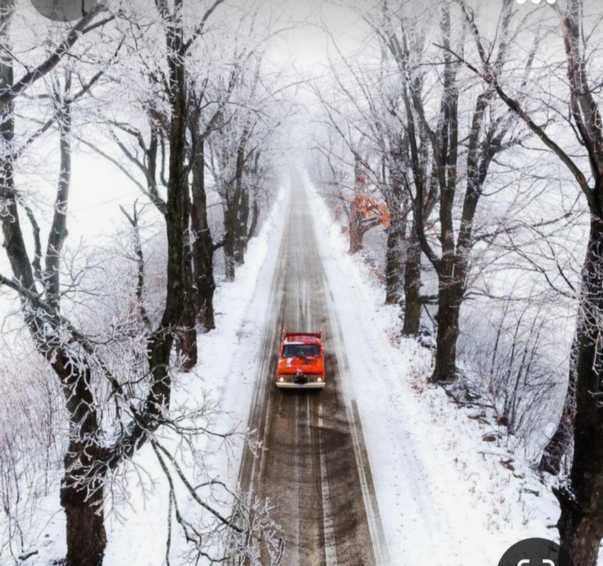 Screenshot_20231103_224513_Pinterest