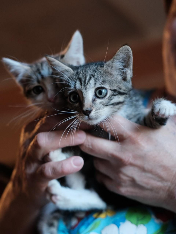 Изображение WhatsApp 2024-10-14 в 13.55.42_f45dab71