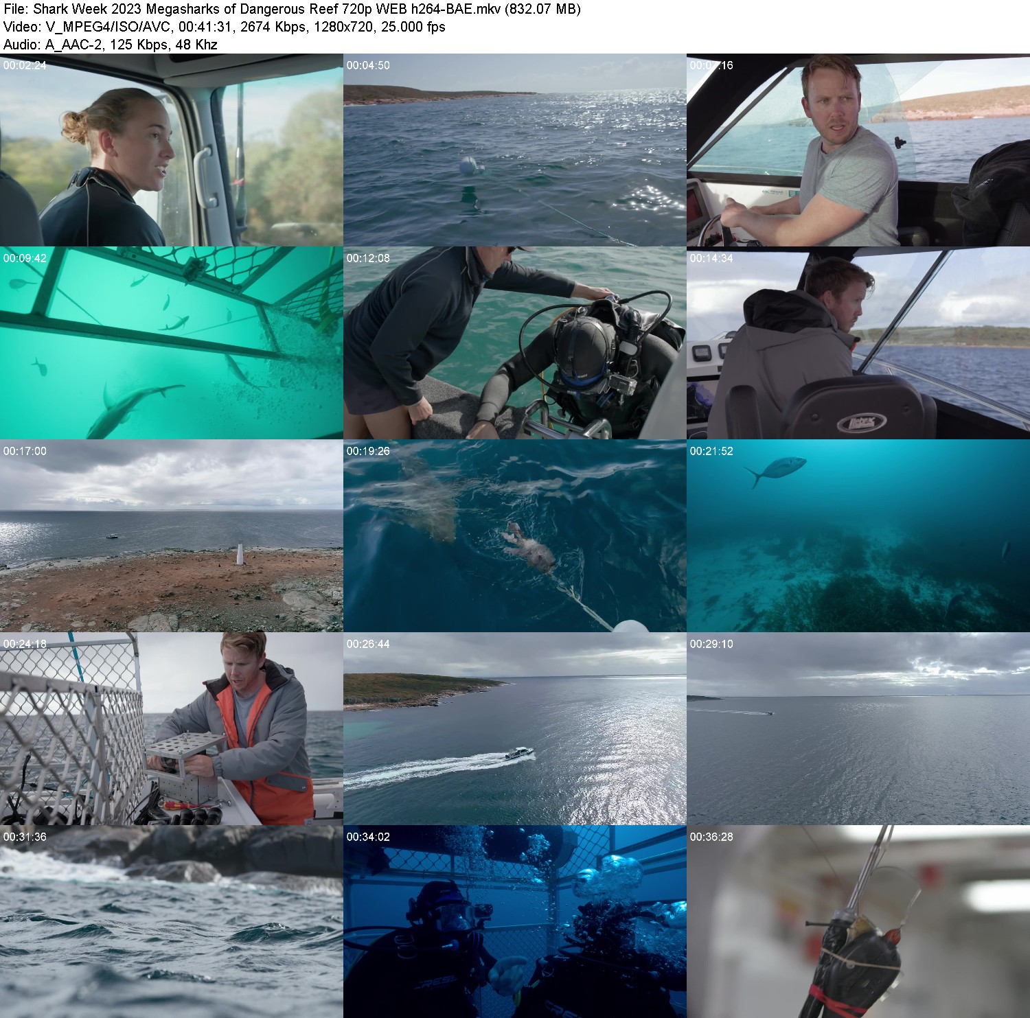 [Image: 1obq0zfmub12.jpg]