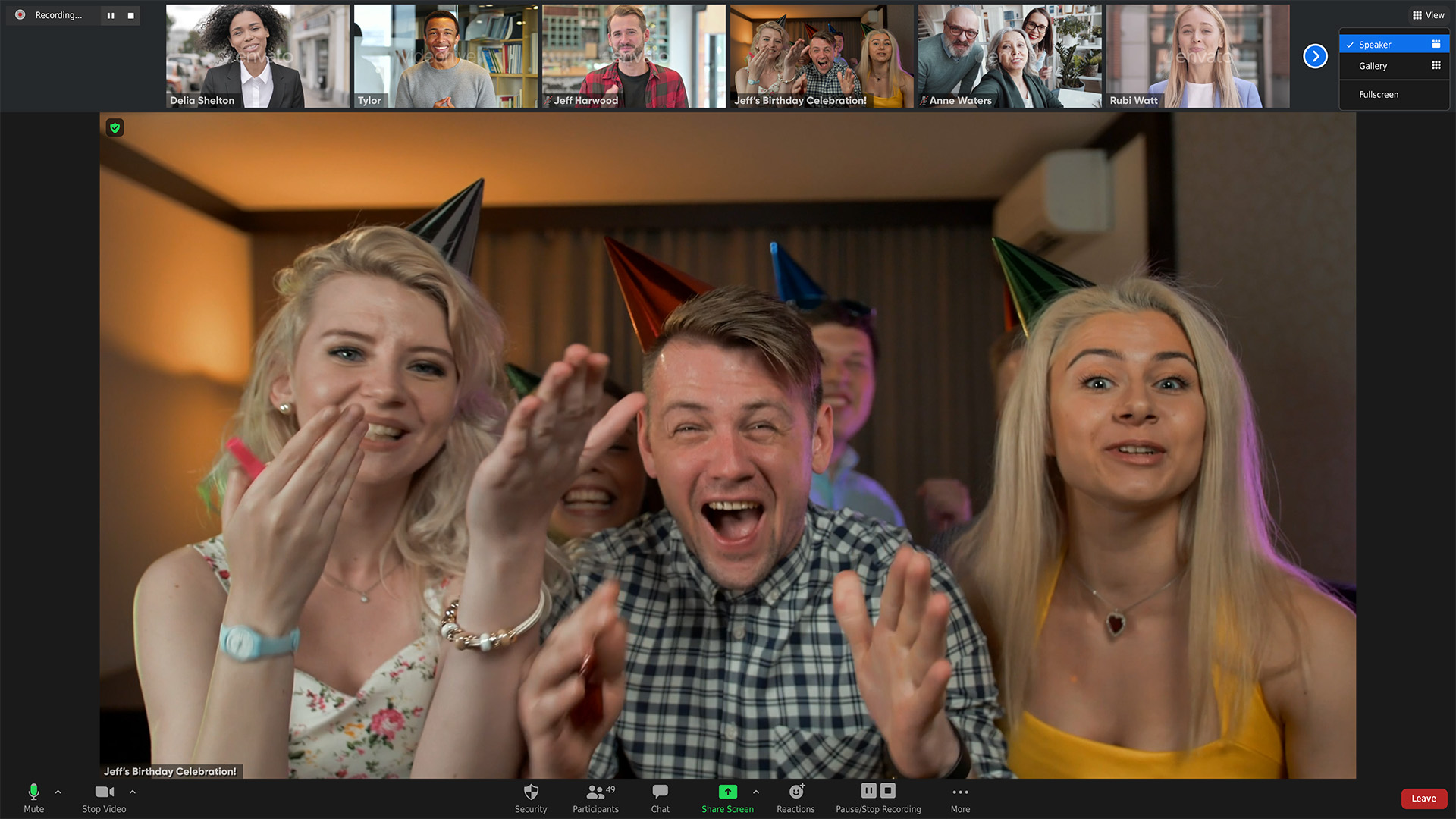 Zoom Views: Online Video Conference Toolkit - 20