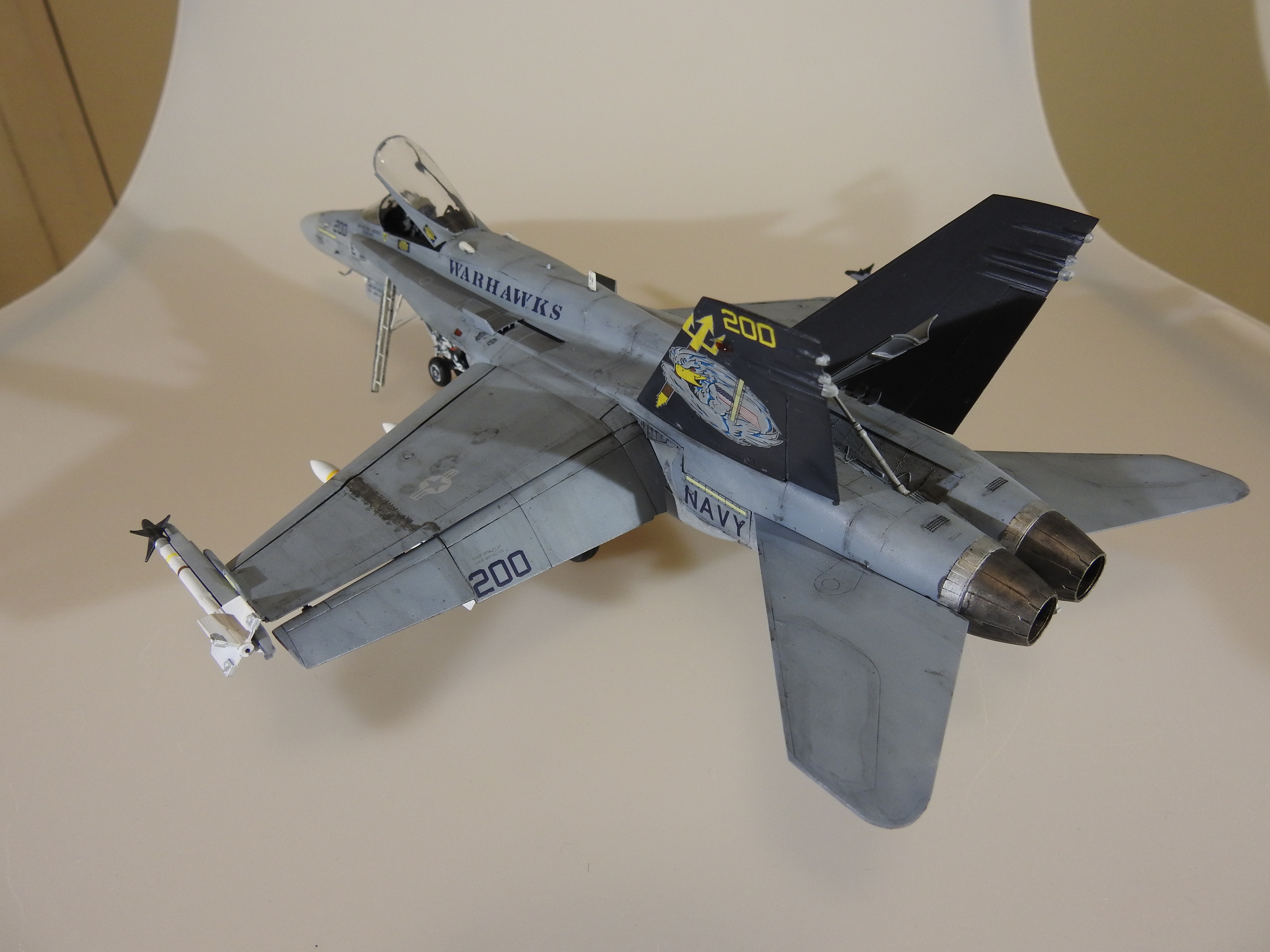 F/A-18C Hasegawa 1/48 - Klar DSCN8905