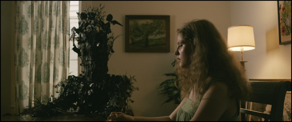 [Image: a7m2zyl2v1ph.png]