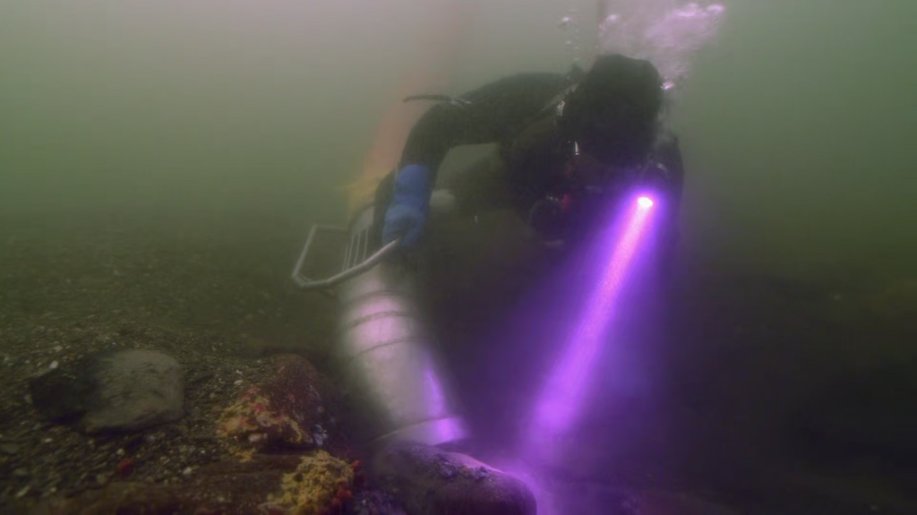 [Image: c0cjgw8com54.png]