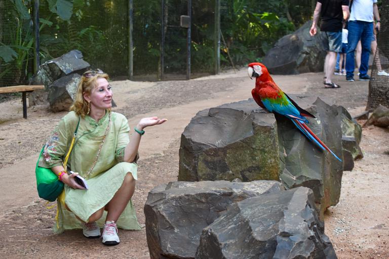 В джазе только девушки или аргентинско-бразильский калейдоскоп В джазе только девушки или аргентинско-бразильский калейдоскоп