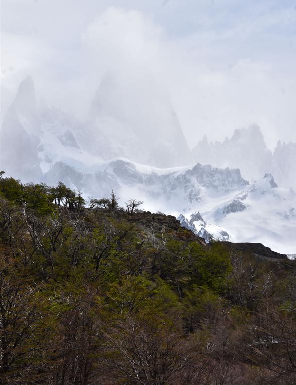 В джазе только девушки или аргентинско-бразильский калейдоскоп В джазе только девушки или аргентинско-бразильский калейдоскоп