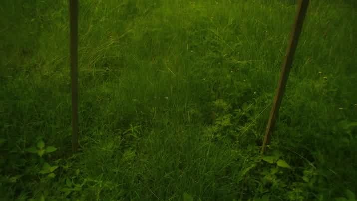 [Image: bai1v9xxy4i0.jpg]