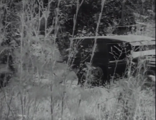 [Image: x79wo7thbd1t.png]