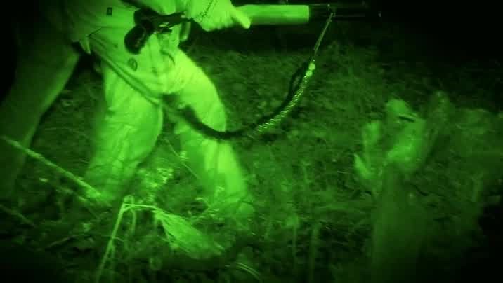 [Image: p8mi4awn58ap.jpg]