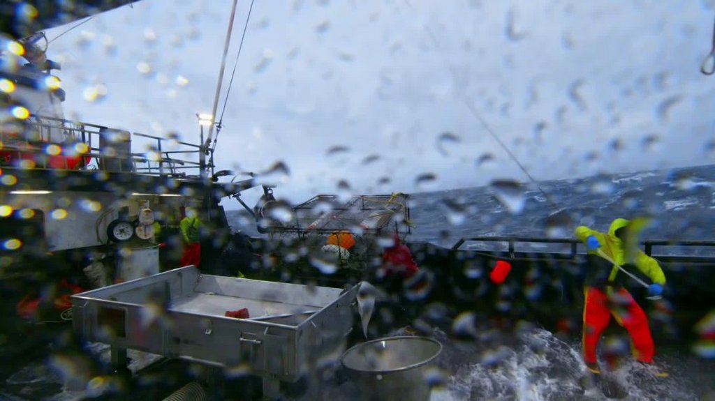 [Image: 7qztwt9l2z3o.jpg]