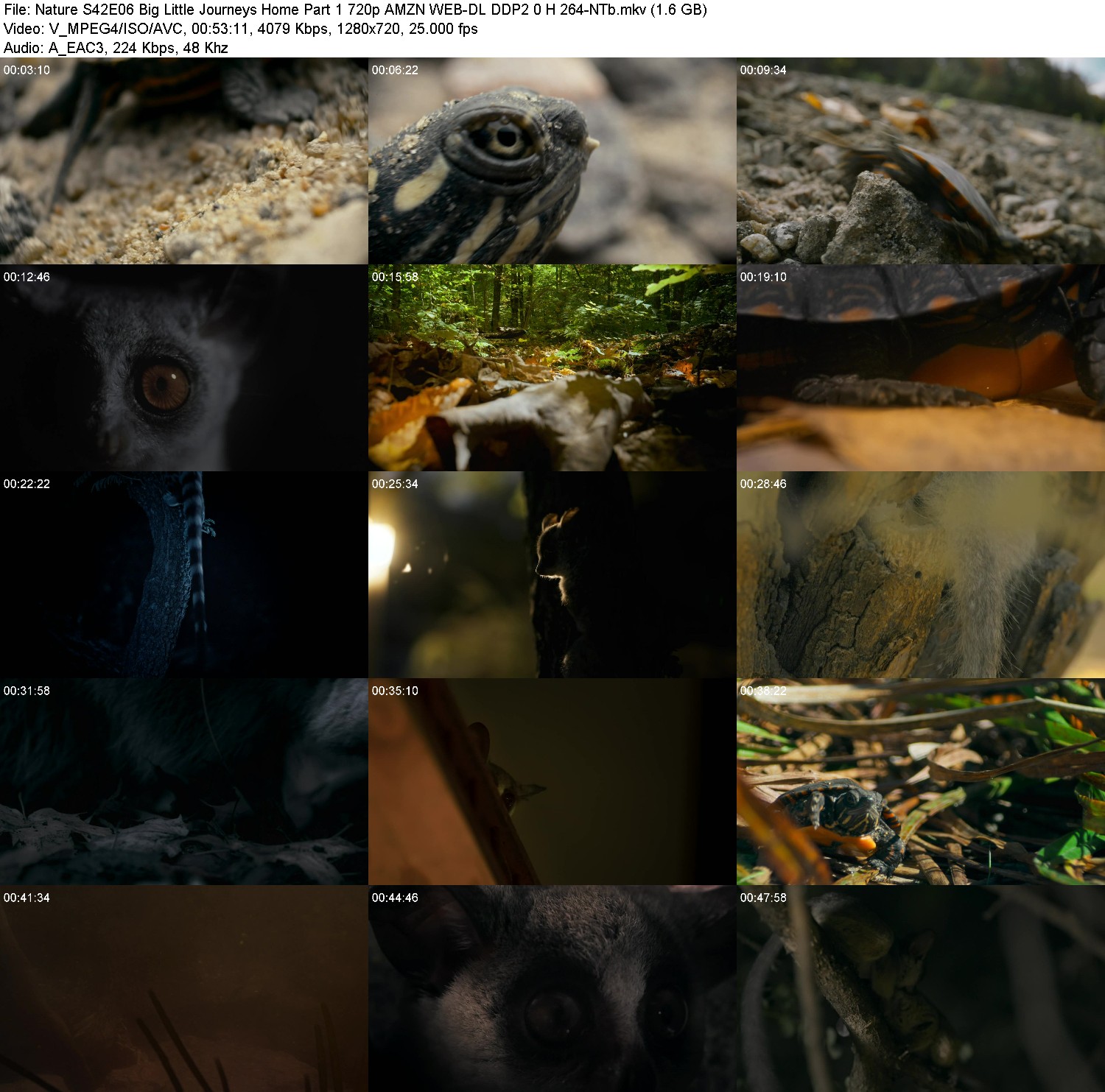 [Image: mkn5bz44ke0t.jpg]