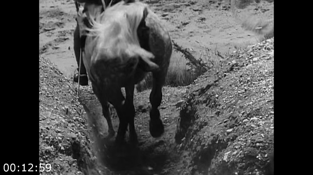 [Image: bha963z5zbne.png]