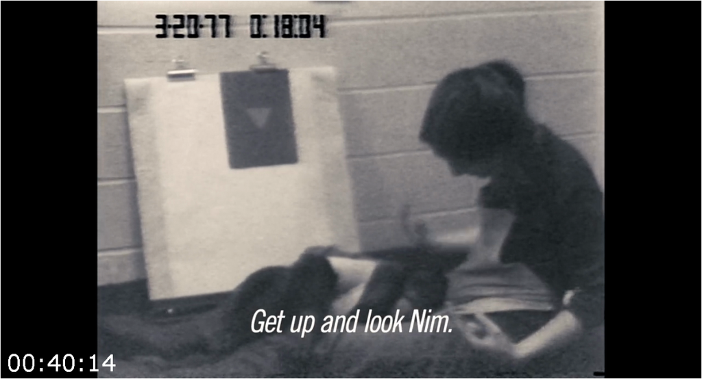 [Image: 2y5yhfgap04n.png]