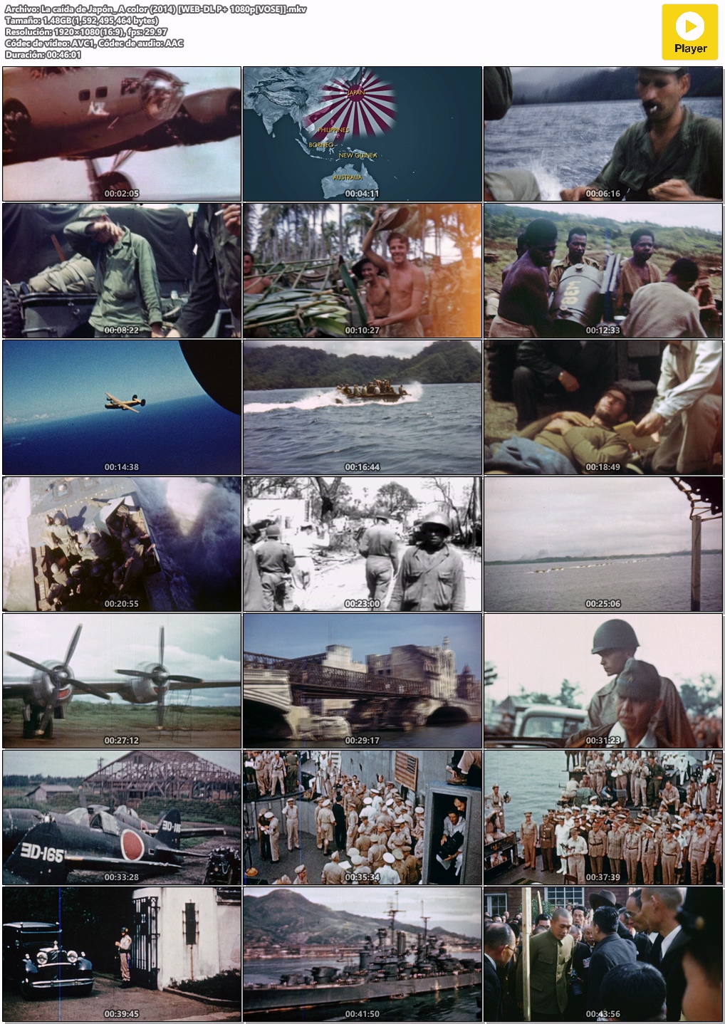 La-ca-da-de-Jap-n-A-color-2014-WEB-DL-P-1080p-VOSE-mkv.jpg