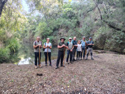 21