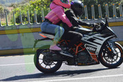 DSC-0306-(1)