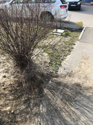 photo_2023-03-23_18-28-44