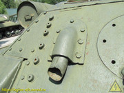 IMG-5598