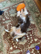 9BED12C3-A98B-4780-BE72-A7A6E71E8FCD