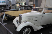IMG_2923.jpg