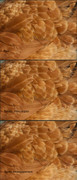 [Image: Montage-Affinity-d-tails-250620.jpg]