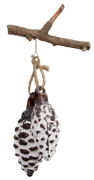 17