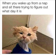 267100374_10158563658621985_3657201118192965932_n