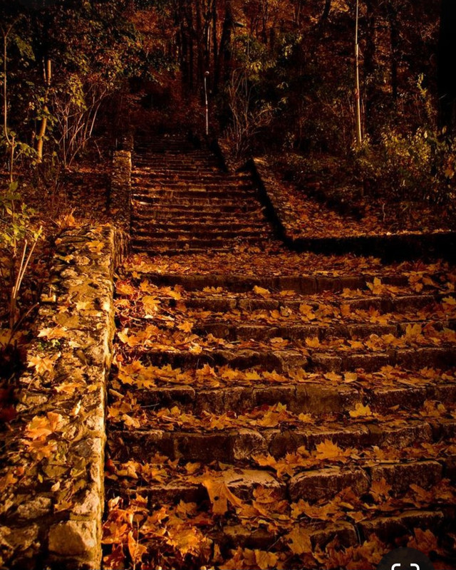 Screenshot_20231128_180017_Pinterest