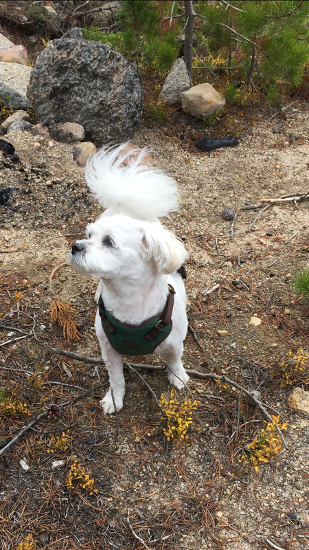 A869F991-984E-4081-8164-78654254307F