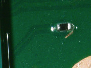 2020 1006 153435 019