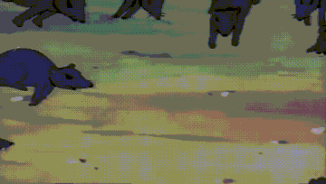 568-F3-C10-D363-47-C3-8667-02-C629-FD14-D6.gif