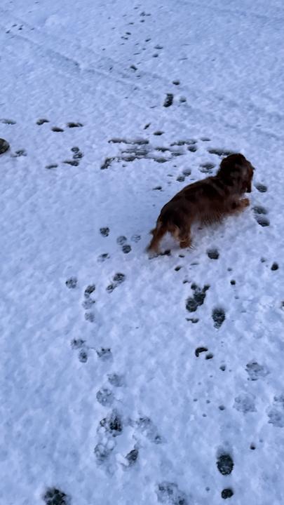 [Image: IMG-5059.jpg]