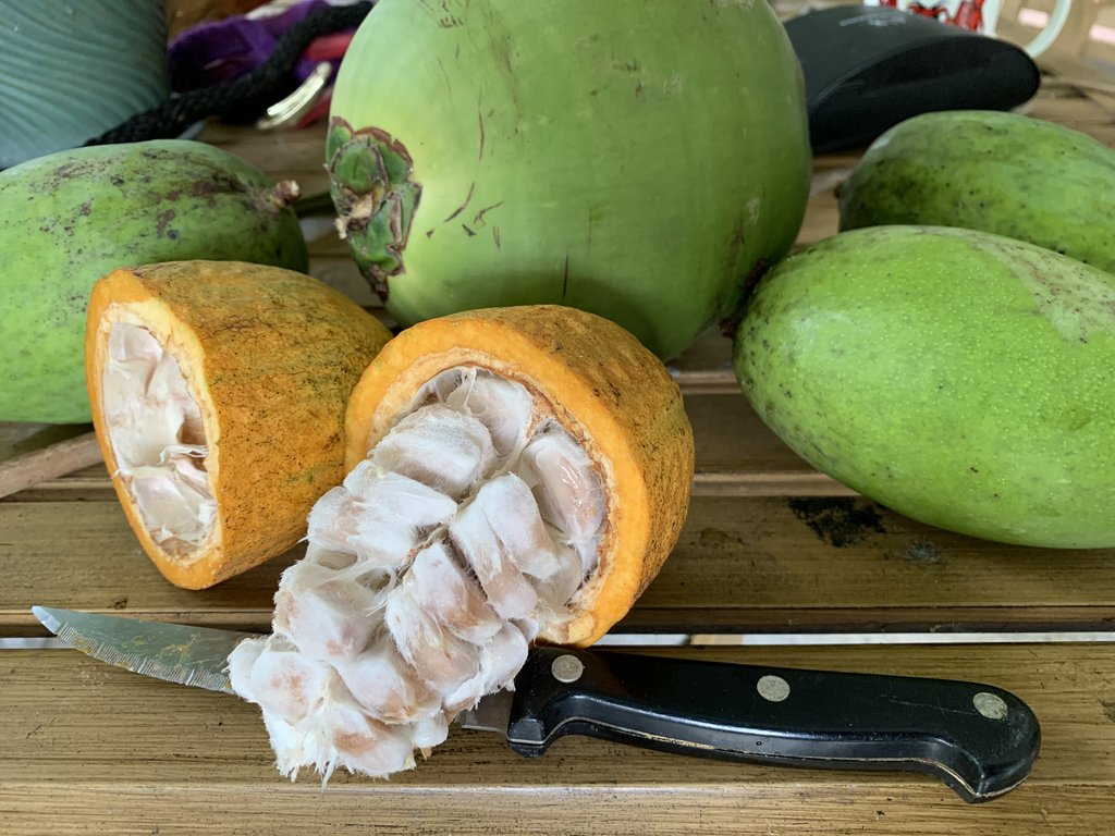 66DEF103-9F51-4644-992F-45C0B7F94B30