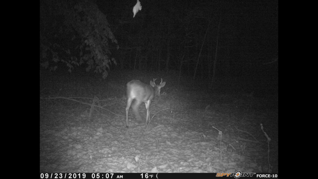 6AB721BC-492A-4148-A658-DA99B2B803E9