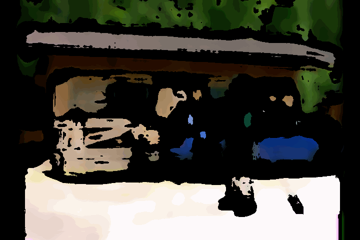 Canina Der Viddivici