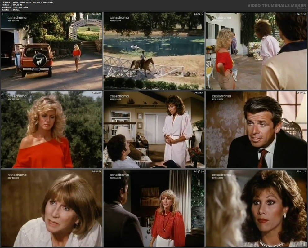 Knots Landing S05E05 One Kind of Justice.mkv