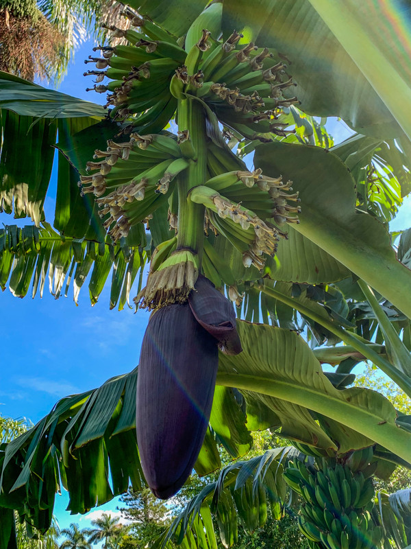 C3308503-6DAE-4200-9E8A-DD86F37EA133