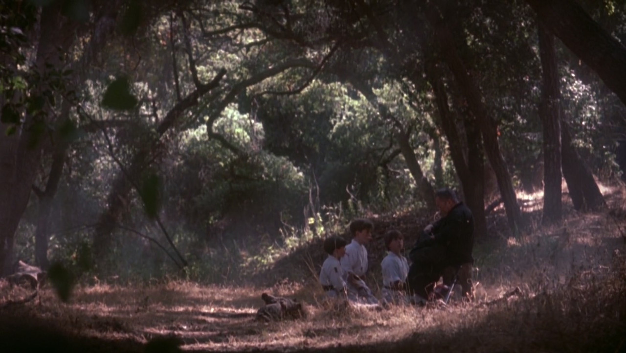 3 Ninjas (1992) (1080p WEB-DL x265 FreetheFish)-1