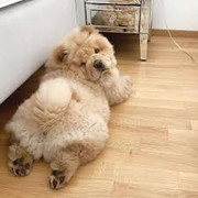 [Image: IMG-7477.jpg]