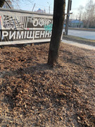 0E6F794C-9490-44F4-93C4-FE91B707F573