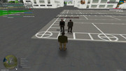 IMG-0333