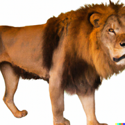 DALL-E-Photo-of-a-realistic-lion-White-background