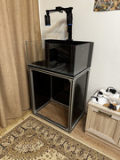 IMG-8003.jpg