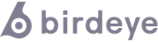 birdeye-platform-logo-external-partner-monochrome-grey-svg