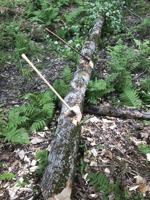 58B9B3E3-D004-4538-9A84-B9B317BB9490