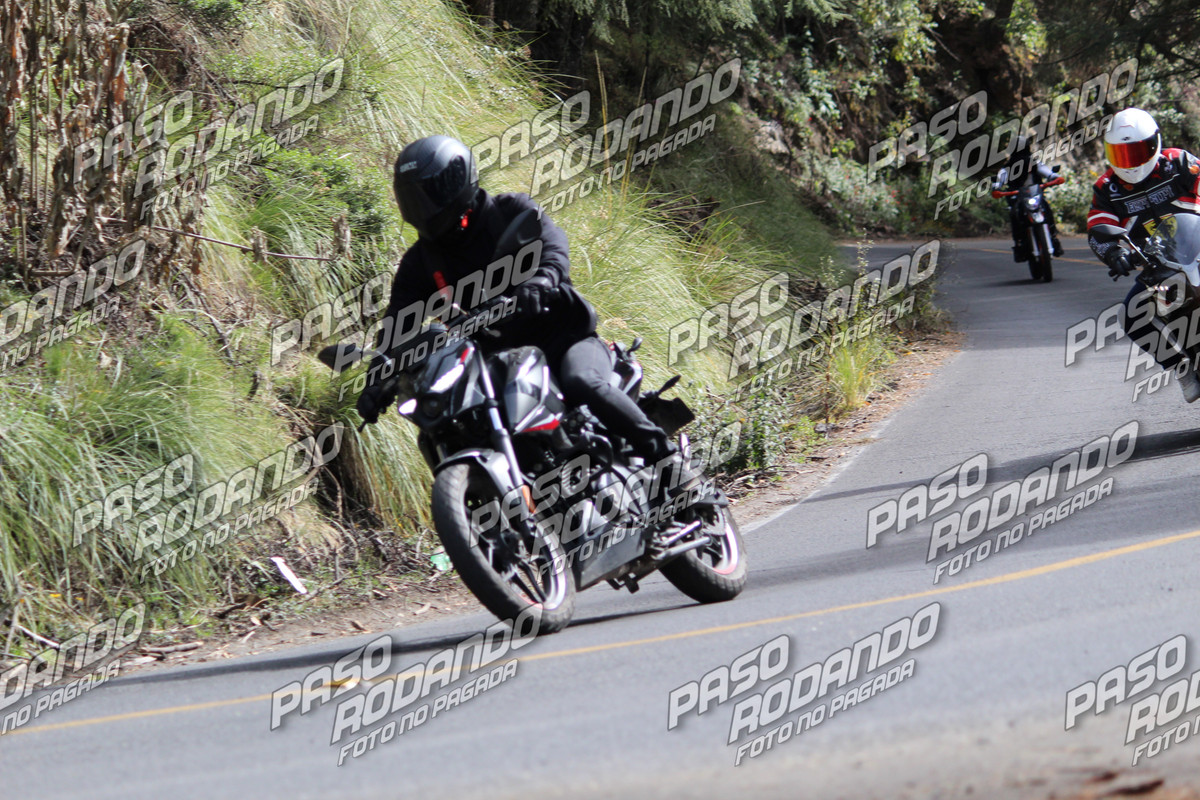 IMG 5509 wm 1999776 9 watermarked — Postimages