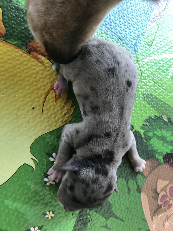 8E090789-52B8-4D48-8D6A-DECF49AE92A4