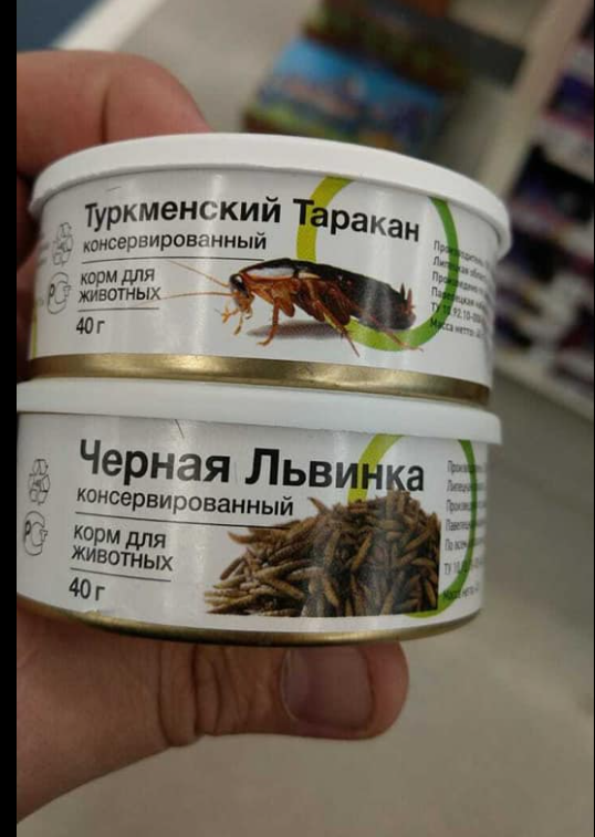 larvi.png