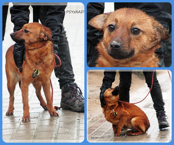 BeFunky-collage (28)