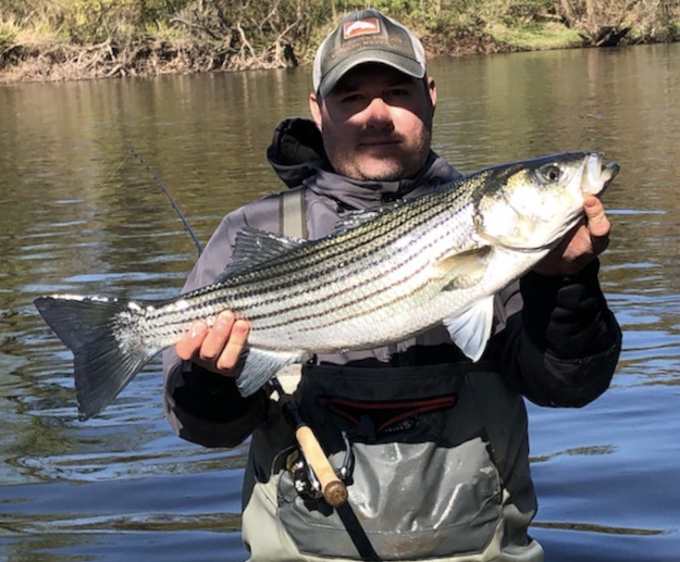 A7F13F9E-A811-4EF7-A5CE-DCA83F060C2A